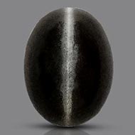 Black Cats Eye - 7 Carats
