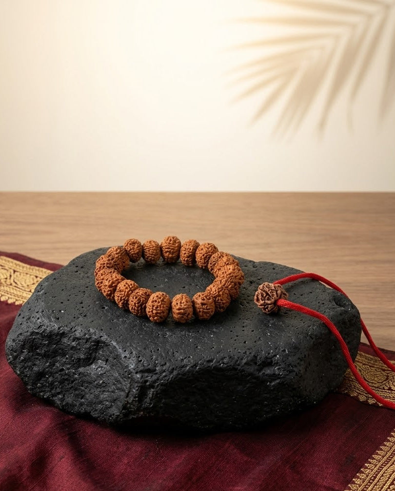 7 Mukhi Rudraksha Combo | Bracelet, Mala & Loose Bead Set