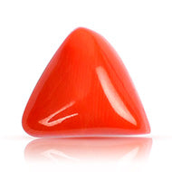 Italian Coral Triangular - 14.30 Carats