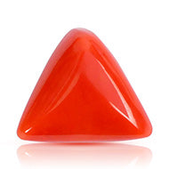 Italian Coral Triangular - 17.35 Carats