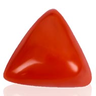 Italian Coral Triangular - 18.95 Carats