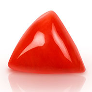 Italian Coral Triangular- 19 Carats