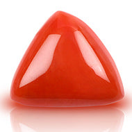 Italian Coral Triangular- 23.30 Carats