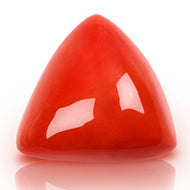Italian Coral Triangular- 29.40 Carats