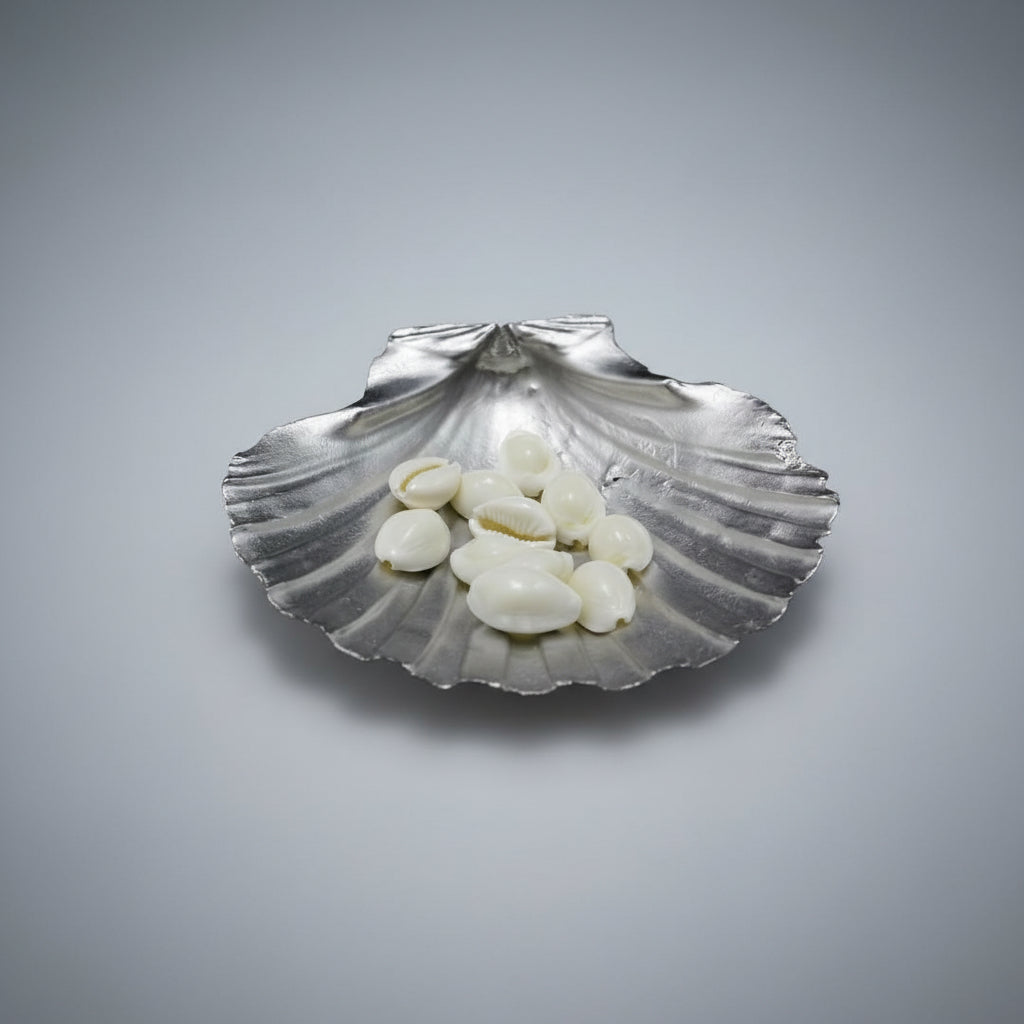 White Cowry Shells