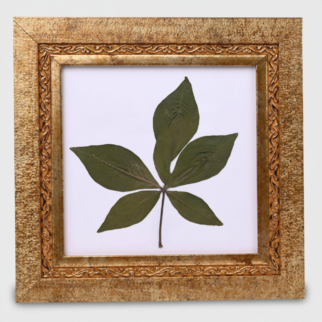 Rare Pancha Dal Bel Patra-Design IV
