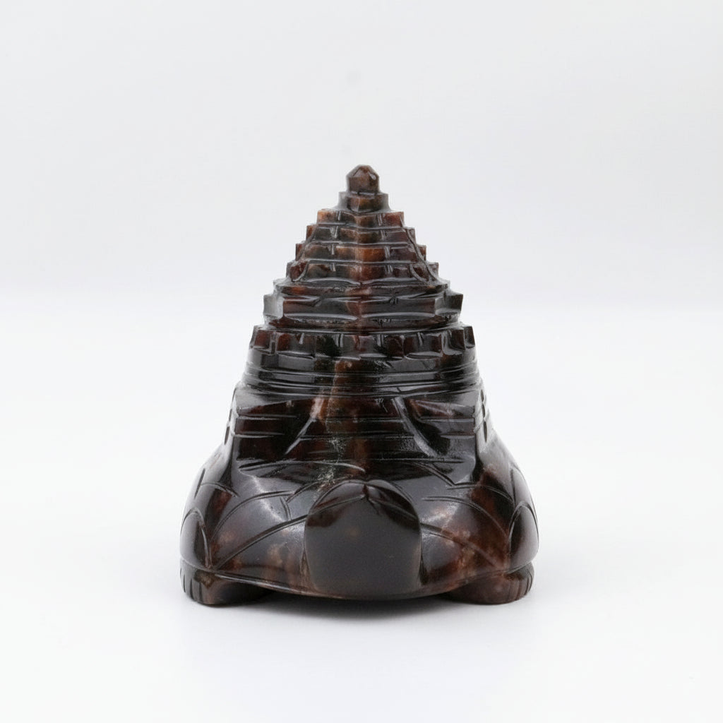 Gomedh Kurma Shree Yantra - 505 gms