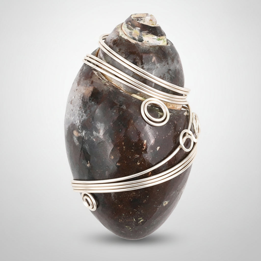 Heera Shankh - 117 gms