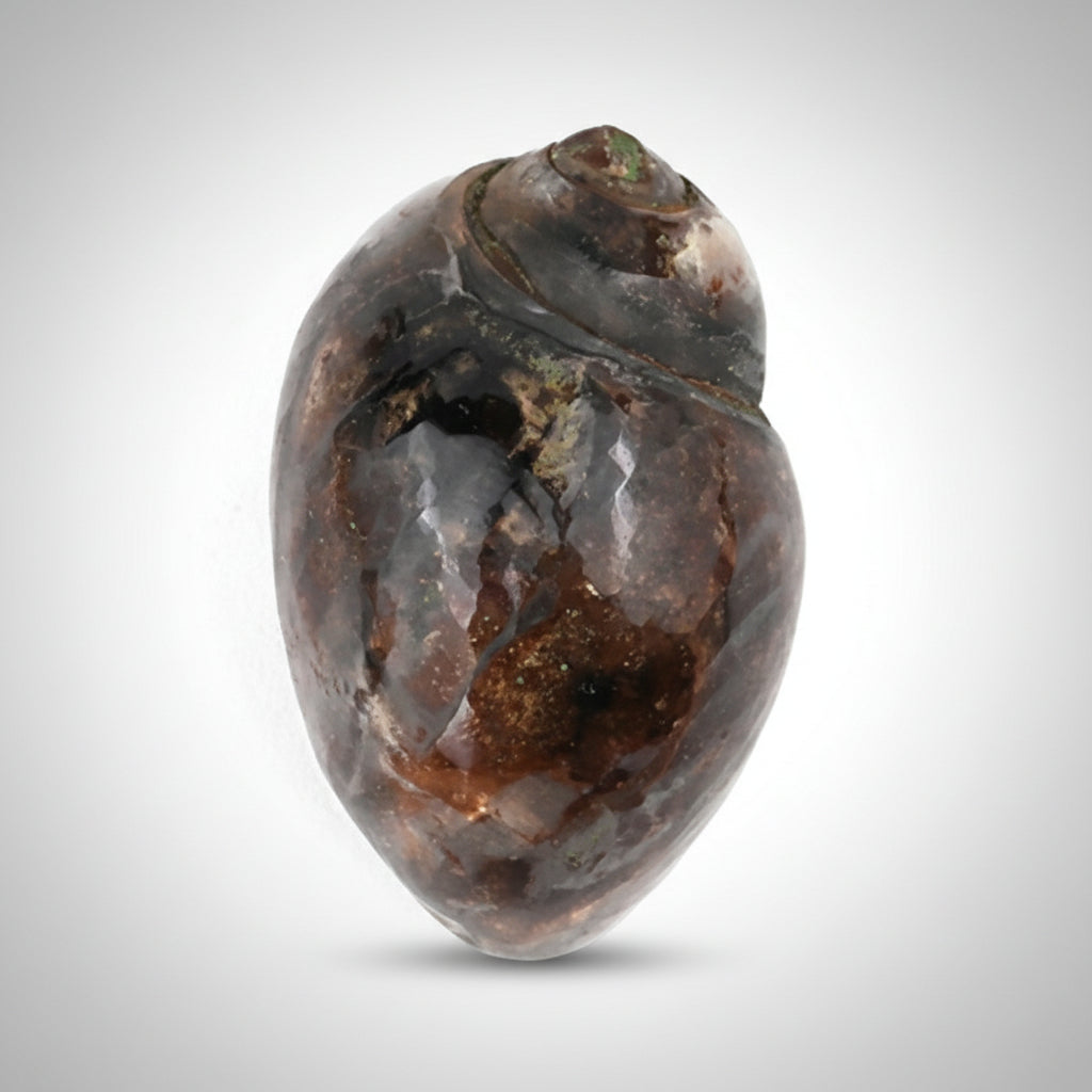 Heera Shankh - 118 gms