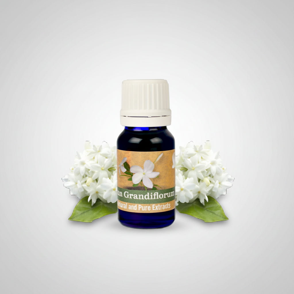 Jasmine Grandiflorum Oil-100 ml