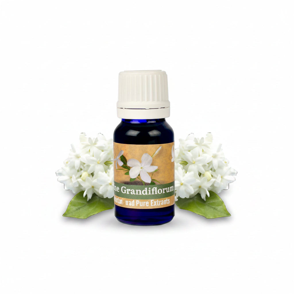 Jasmine Grandiflorum Oil-10 ml