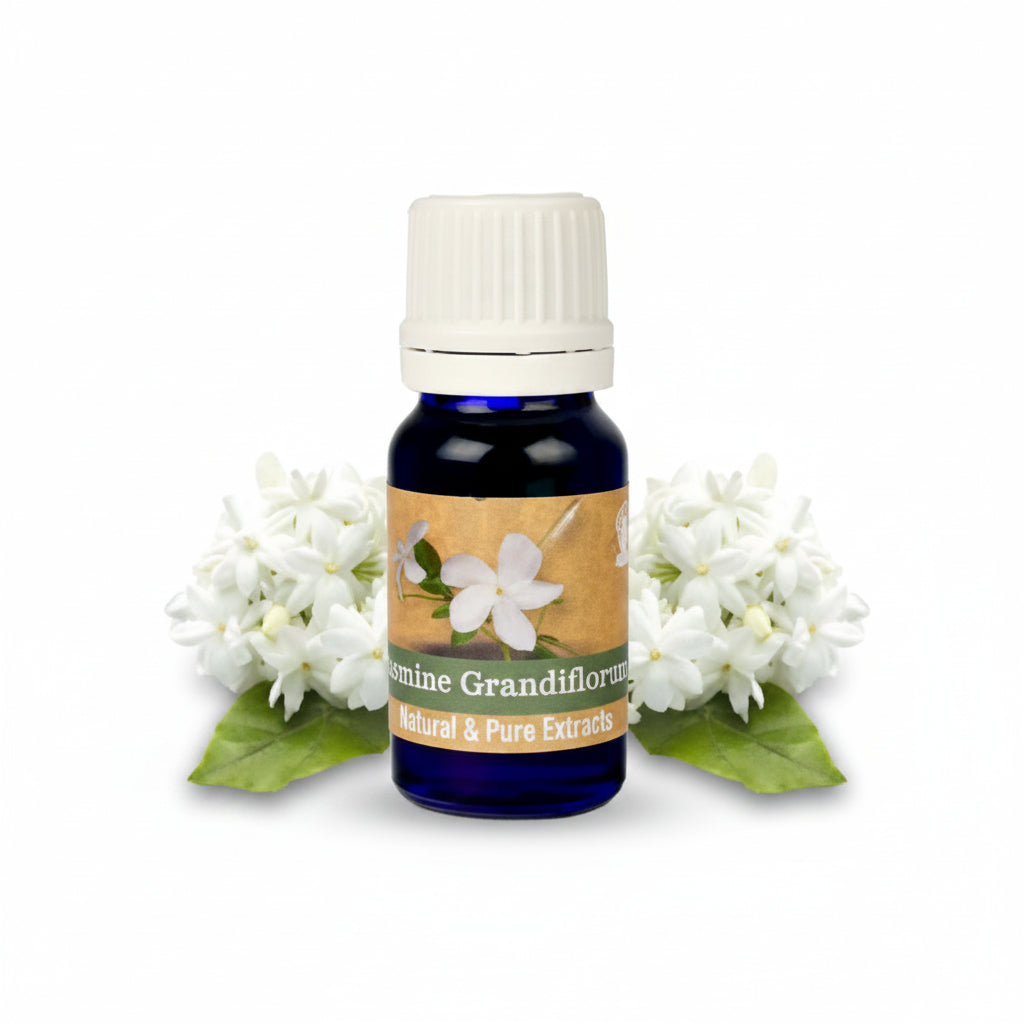 Jasmine Grandiflorum Oil-10 ml