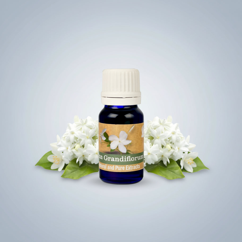 Jasmine Grandiflorum Oil-100 ml