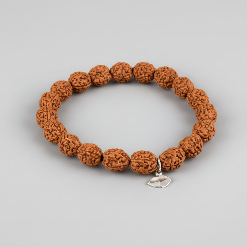 4 Mukhi Brahma Bracelet From Java-14 mm