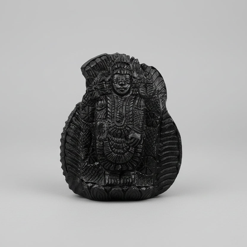 Tirupati Balaji Venkateshwara Shaligram Murti