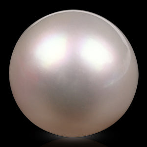 South Sea Pearl - 16.80 Carats