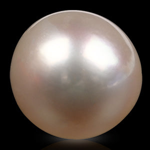 South Sea Pearl - 14.55 Carats