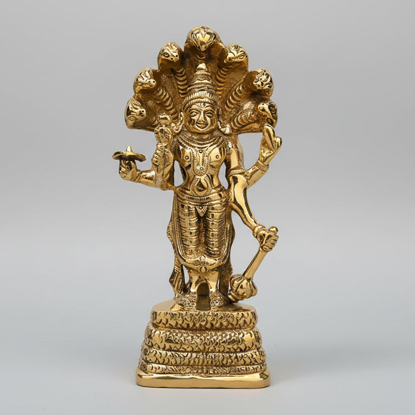 Narayan Brass Idol on Sheshnaag