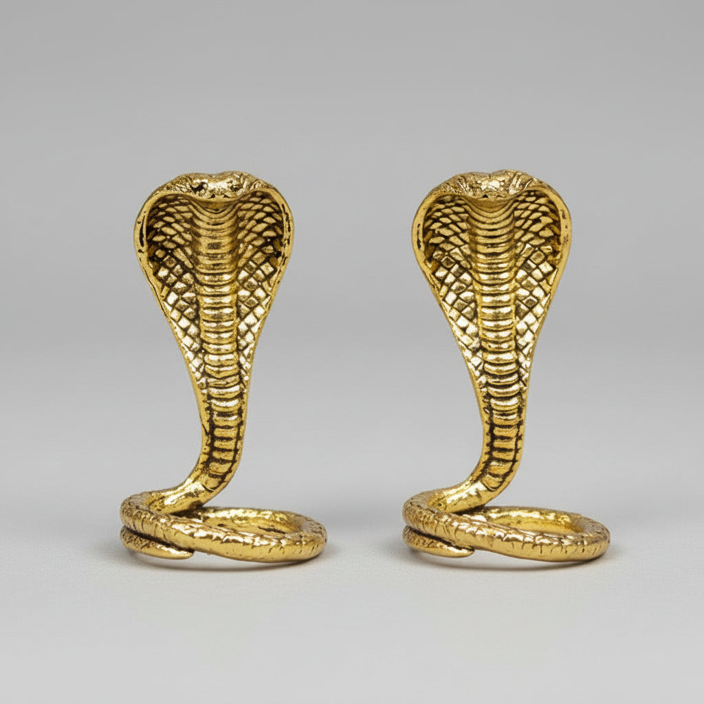 Ashtadhatu Naag Nagin Set (Pair of Snakes)-Large