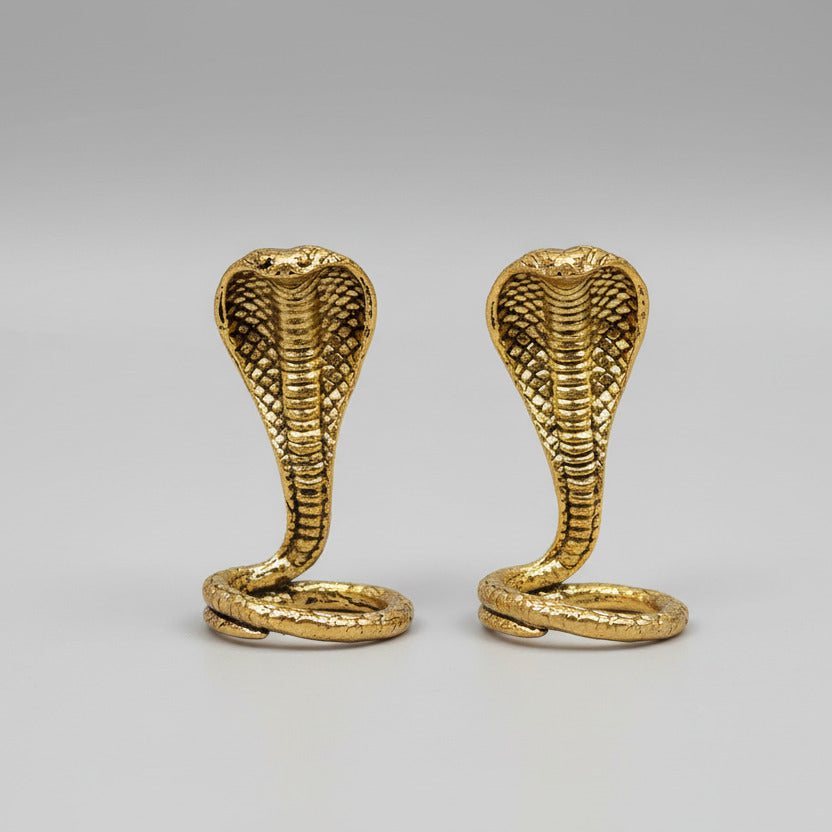 Ashtadhatu Naag Nagin Set (Pair of Snakes)-Regular