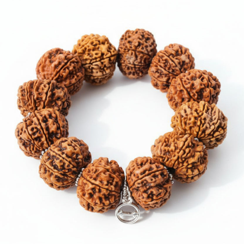 13 Mukhi Kamdev Bracelet-Collector-Silver Chakri