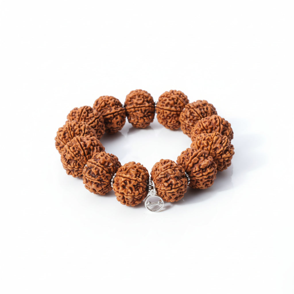 13 Mukhi Kamdev Bracelet-Small-Silver Chakri