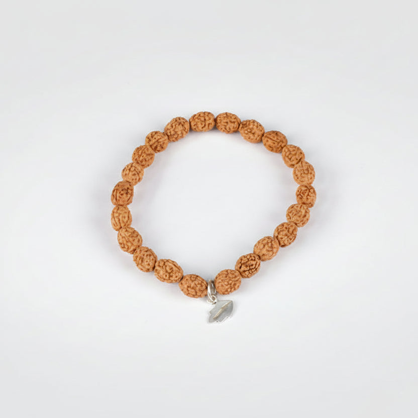 4 Mukhi Brahma Bracelet From Java-14 mm
