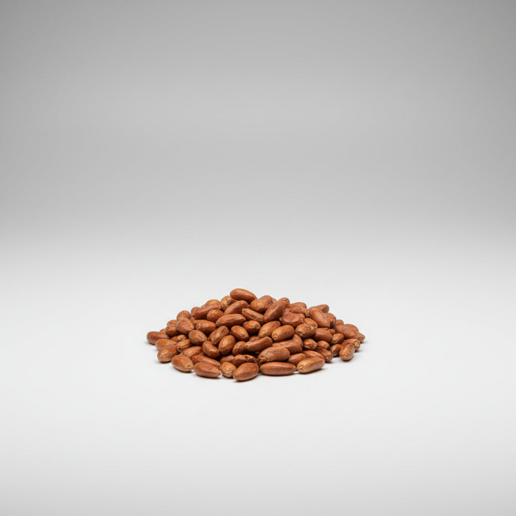 Rudraksha Seeds-50 Seeds