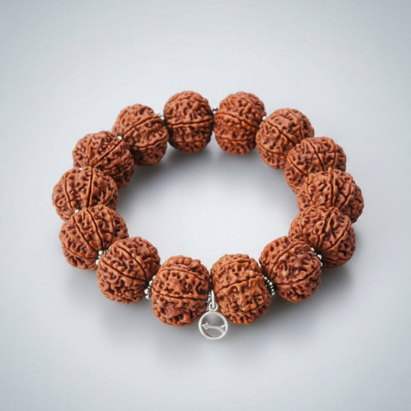 11 Mukhi Sadhana Bracelet-Regular-Silver Chakri