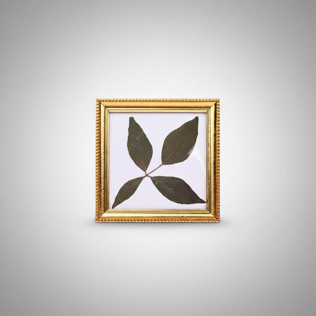 Rare Char Dal Bel Patra-Design VIII