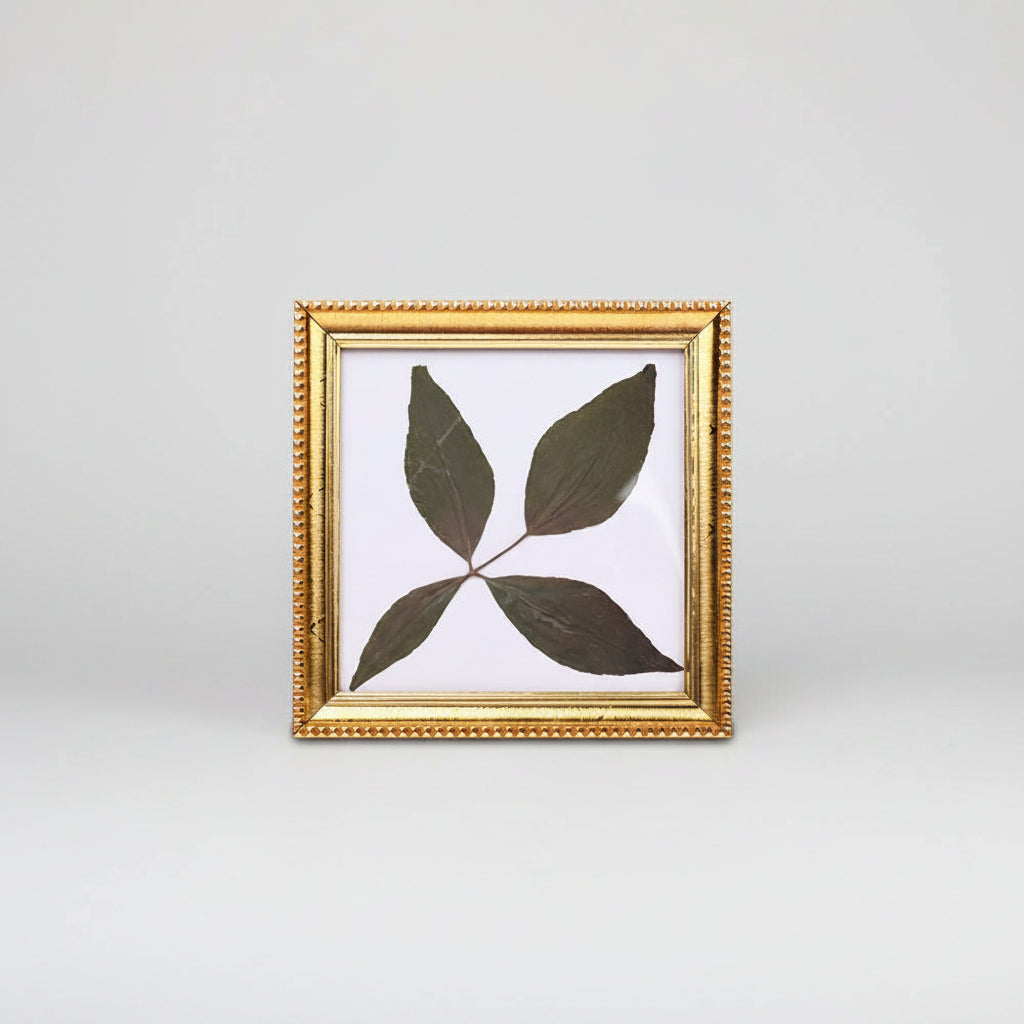 Rare Char Dal Bel Patra-Design IV