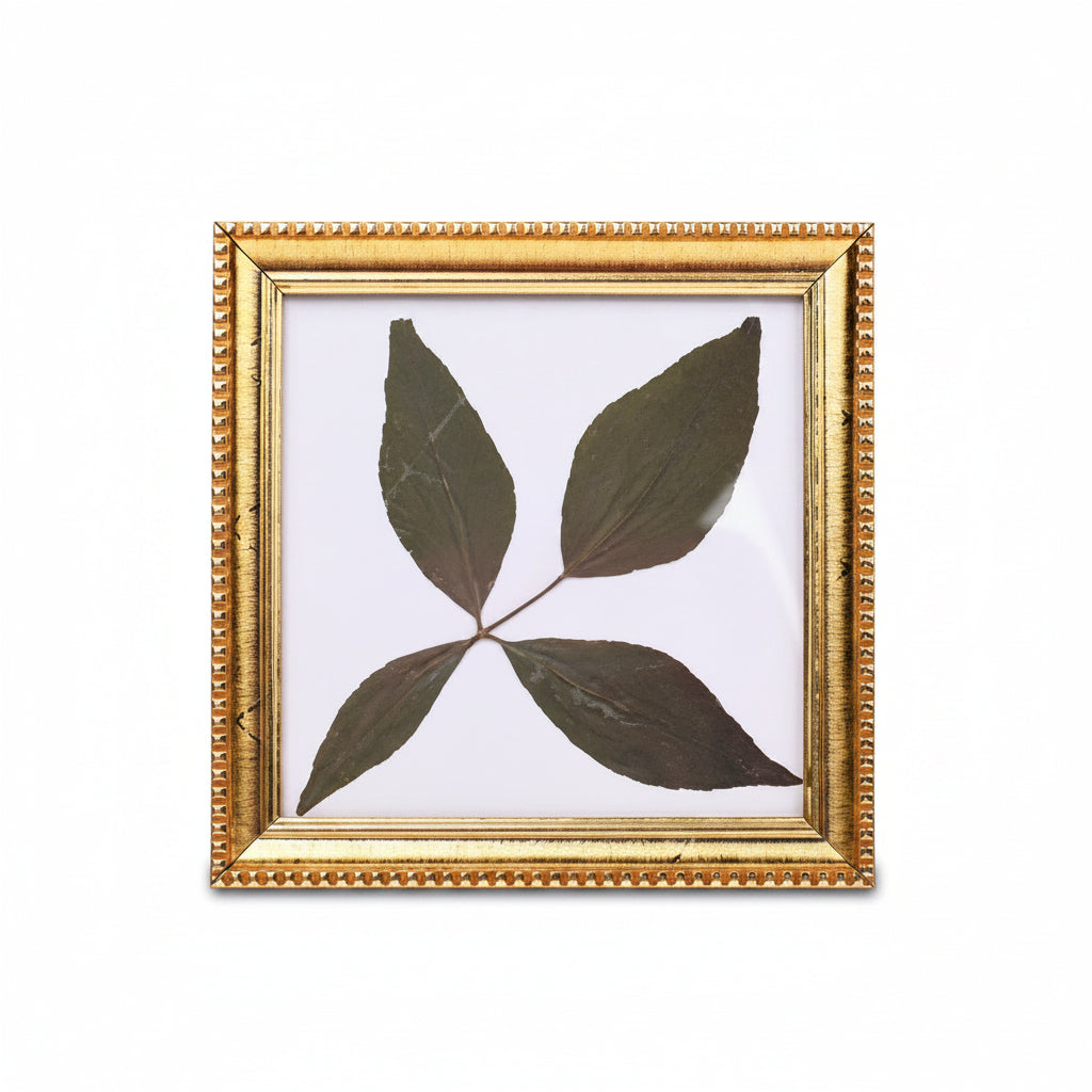Rare Char Dal Bel Patra-Design IX