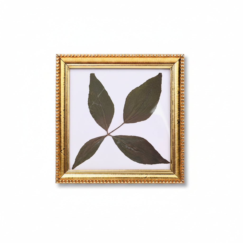 Rare Char Dal Bel Patra-Design VII