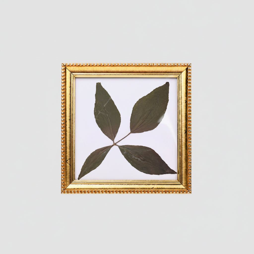 Rare Char Dal Bel Patra-Design XI