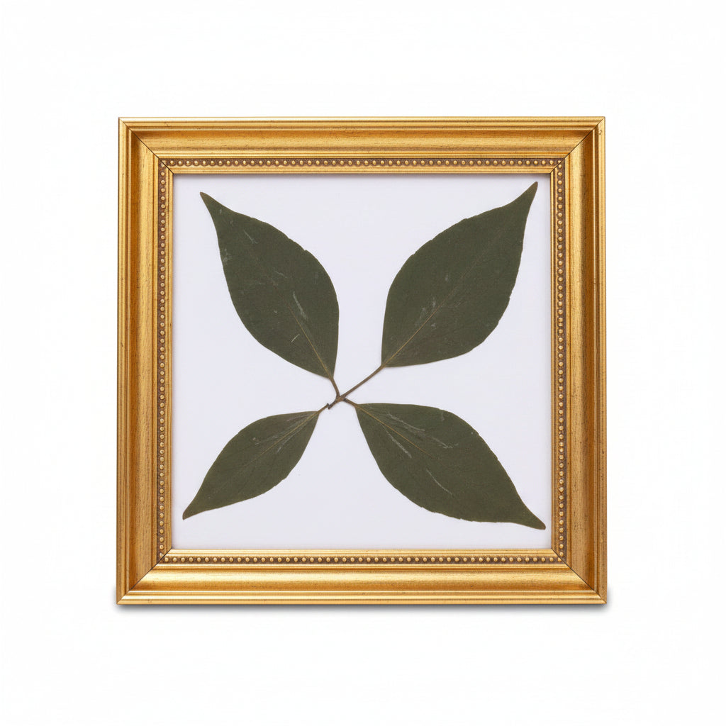 Rare Char Dal Bel Patra-Design I