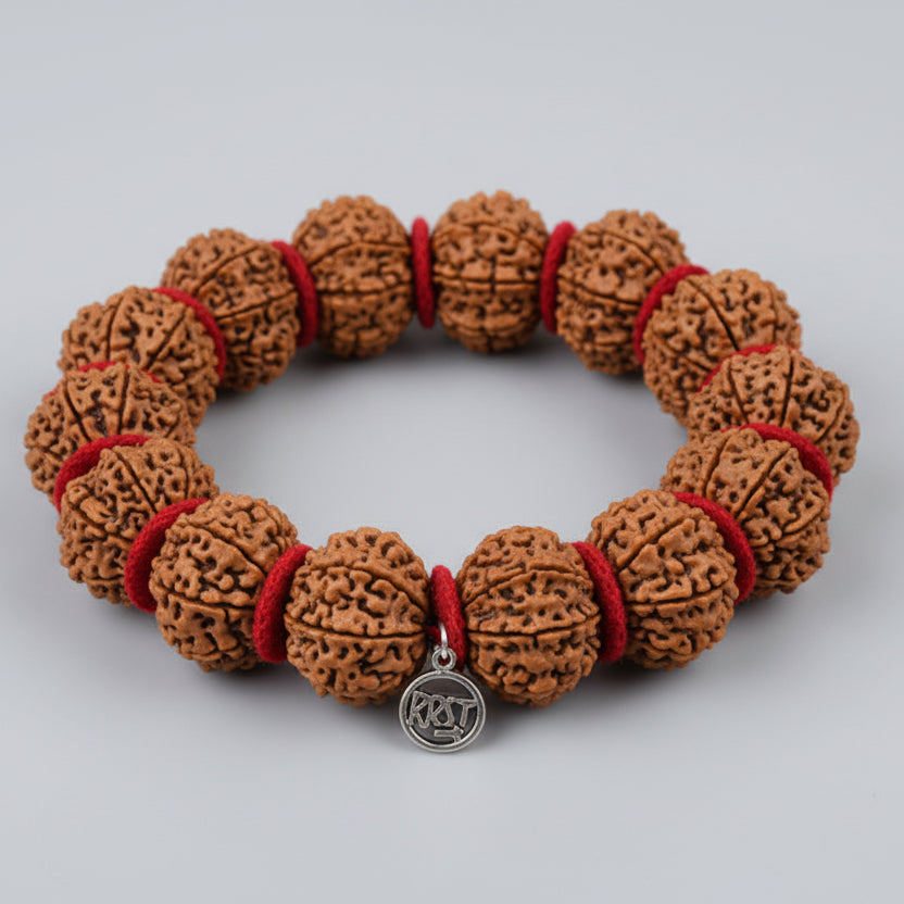 11 Mukhi Sadhana Bracelet-Regular-Silver Chakri