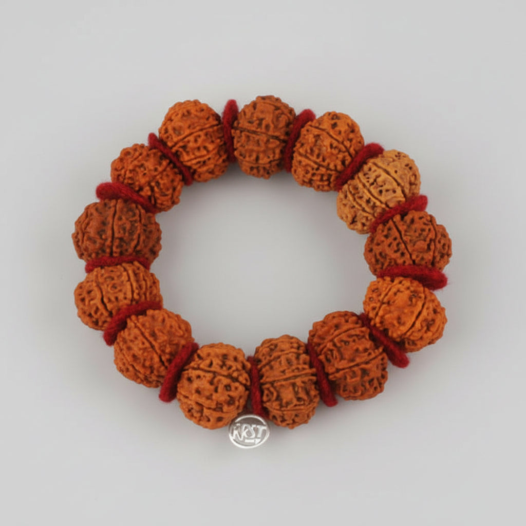 13 Mukhi Kamdev Bracelet-Collector-Silver Chakri