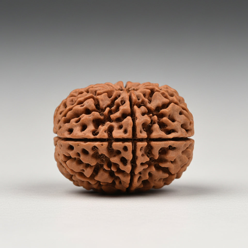 Thirteen Mukhi from Nepal Small
