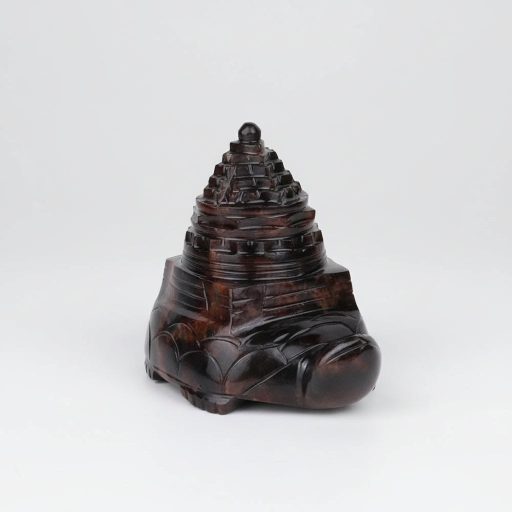 Gomedh Kurma Shree Yantra - 552 gms