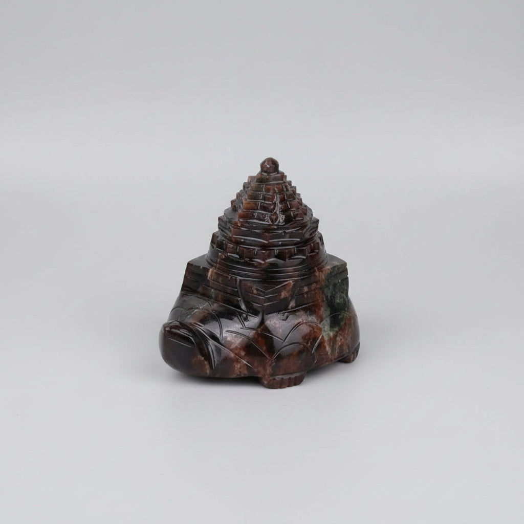 Gomedh Kurma Shree Yantra - 505 gms