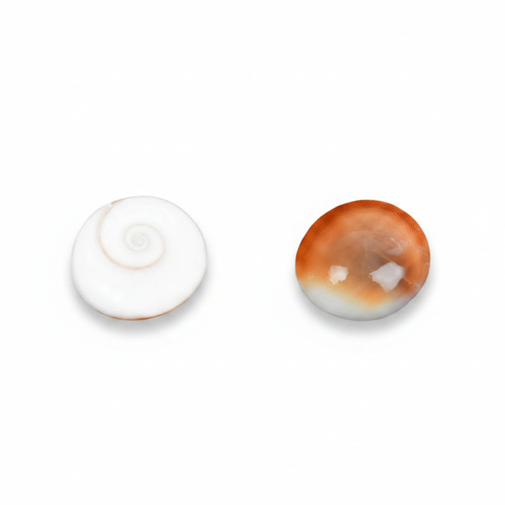 Gomati Chakra Small-Set of 108