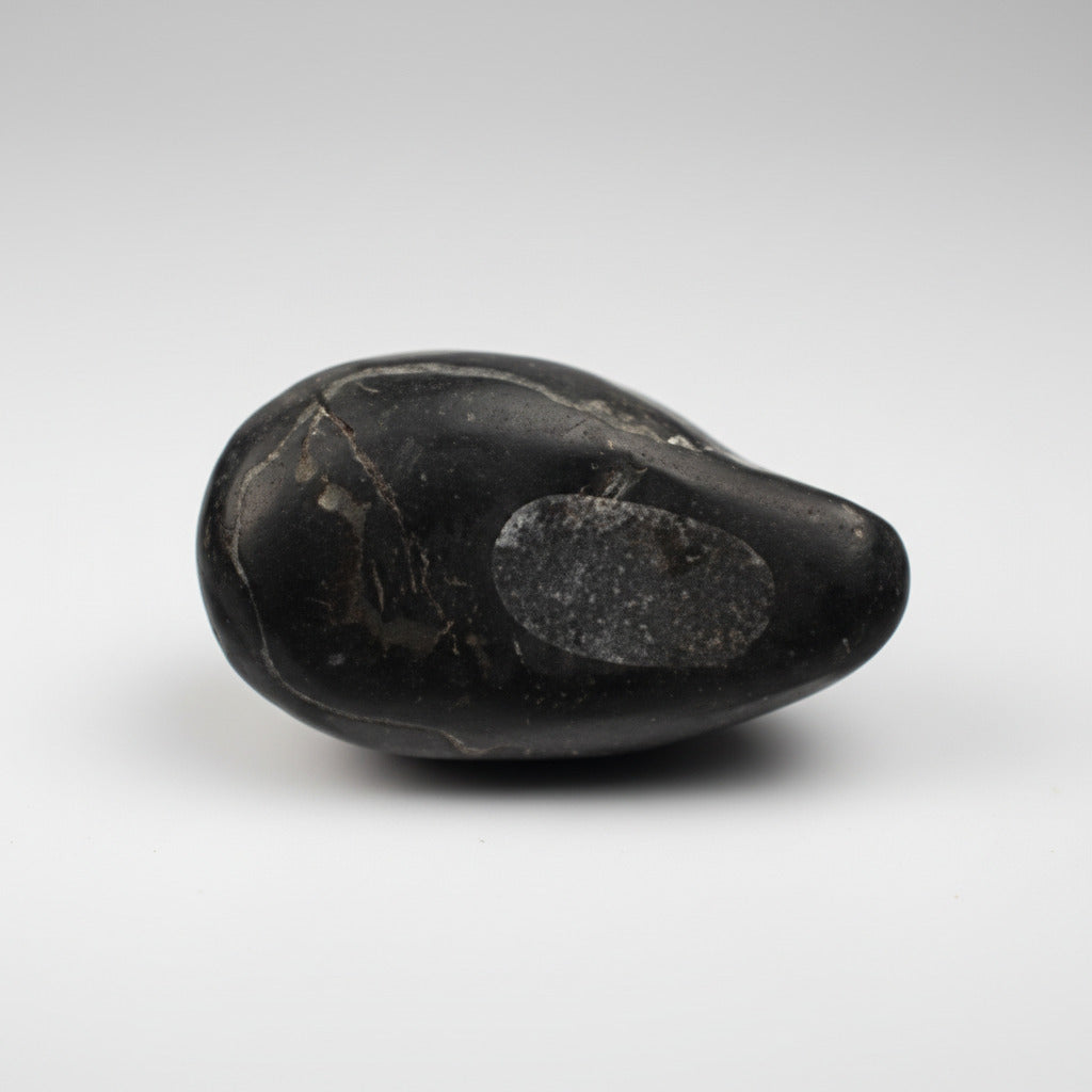 Krishna Mor Pankh Paduka Kurma Shaligram Shila
