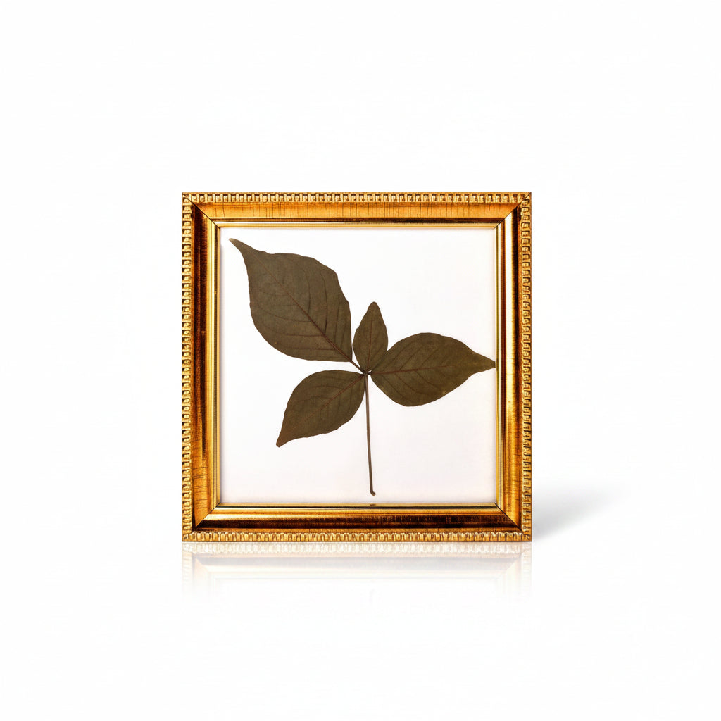 Rare Char Dal Bel Patra-Design VIII