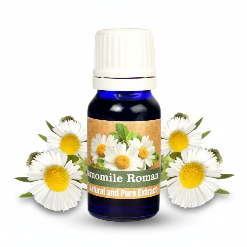 Chamomile Roman Oil-100 ml