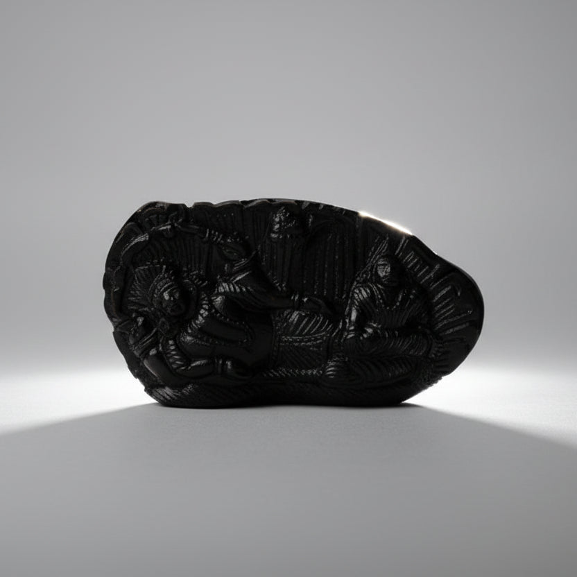 Padmanabha Laxmi Narayan Shaligram Murti