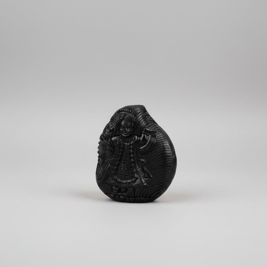 Shreenath Shaligram Murti