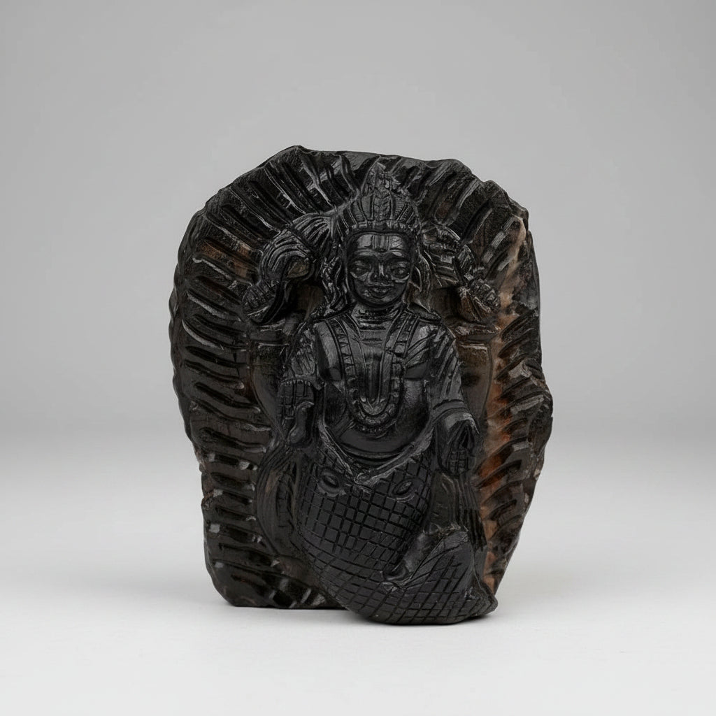 Matsya Shaligram Murti