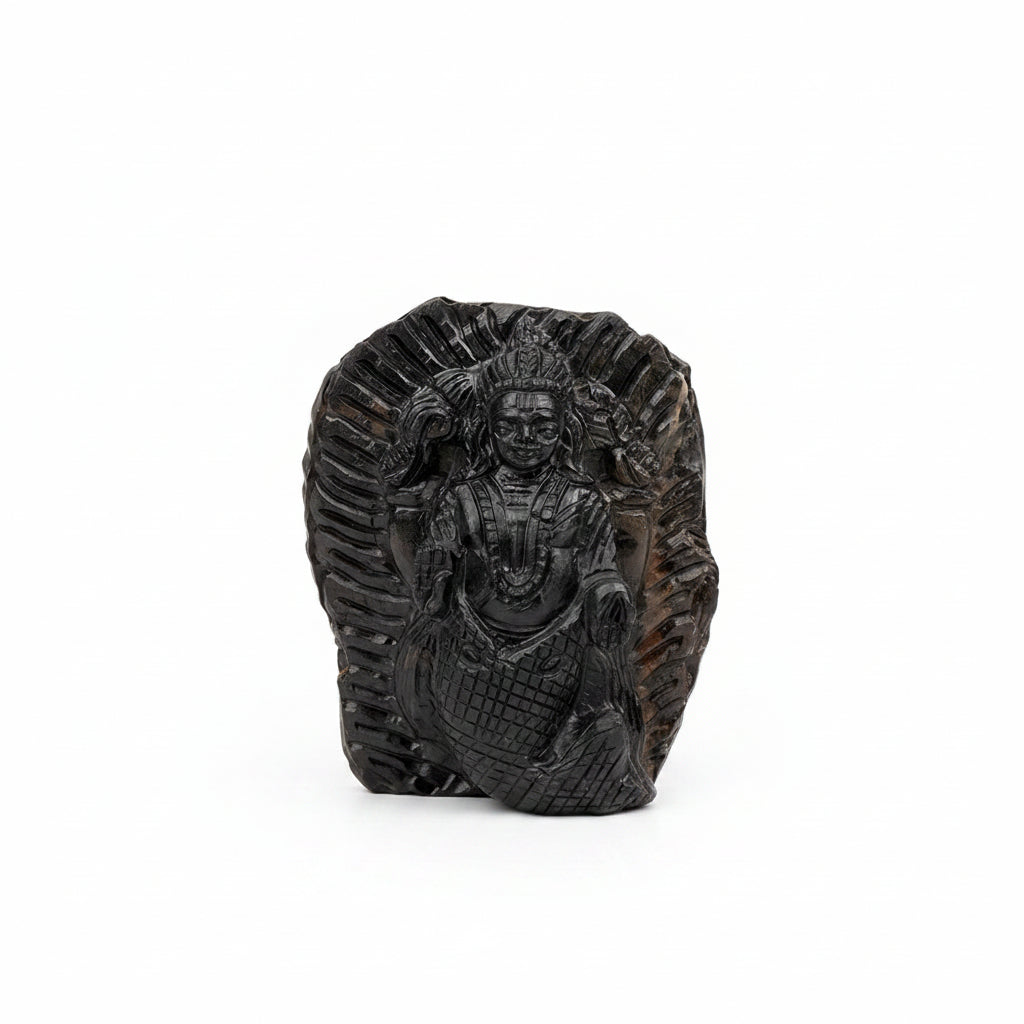 Matsya Shaligram Murti