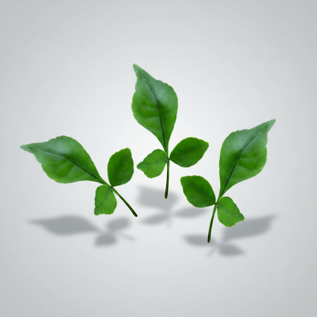 Bel Patra Green-1008+1 Leaves