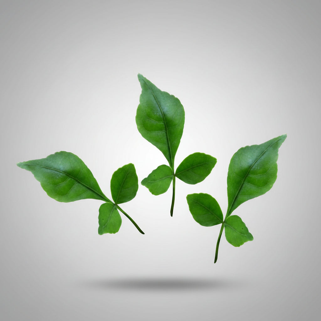Bel Patra Green-108+1 Leaves